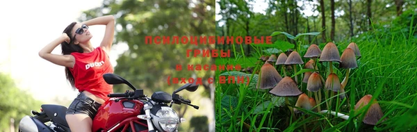 синтетический гашиш Арсеньев