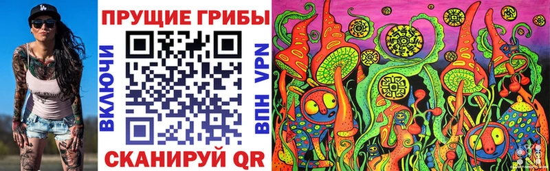 хочу наркоту  Белово  Галлюциногенные грибы Cubensis 